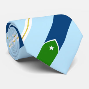 Cedar Rapids (Iowa) Stadtflagge Neck Tie Krawatte
