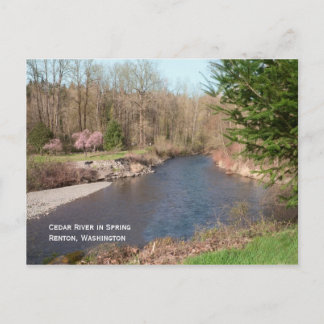 Cedar River Beach Postcard Postkarte