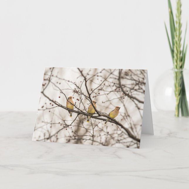 Cedar Waxwing Bird-Note-Karte Karte (Vorderseite)