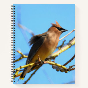 Cedar Waxwing Bird Notizbuch