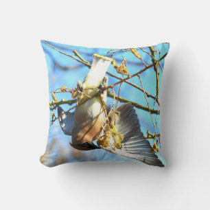 Cedar Waxwing Hanging auf der Rückseite Flügel Spr Kissen