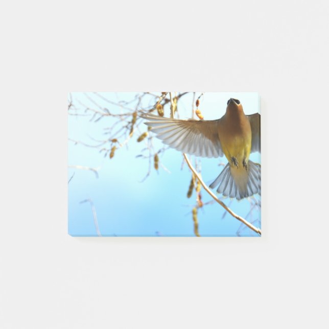 Cedar Waxwing im Flug Post-it Klebezettel (Vorderseite)