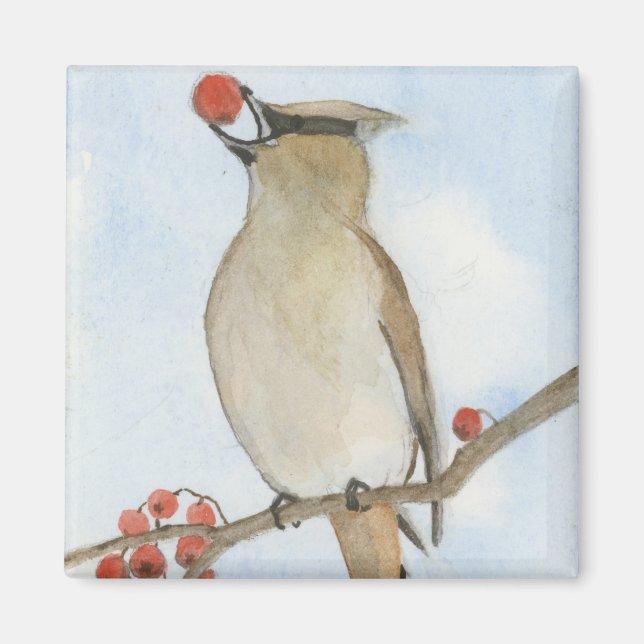 Cedar Waxwing Magnet (Vorne)