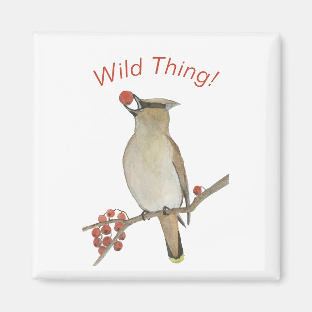 Cedar Waxwing Magnet (Vorne)
