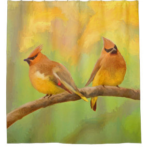 Cedar Waxwing Malerei - Niedliche Original Hunde K Duschvorhang