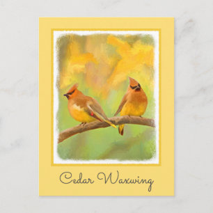 Cedar Waxwing Malerei - Niedliche Original Hunde K Postkarte