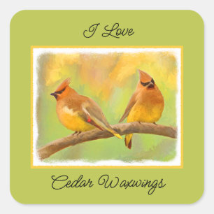 Cedar Waxwing Malerei - Niedliche Original Hunde K Quadratischer Aufkleber