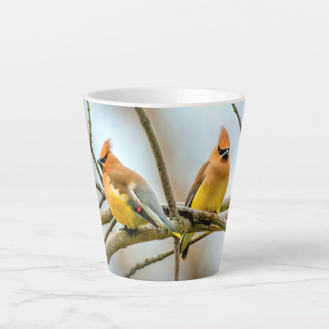 Cedar Waxwing - Original Foto Milchtasse (Vorderseite)