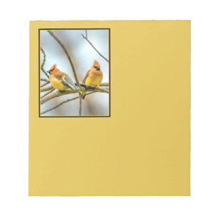 Cedar Waxwing - Original Foto Notizblock