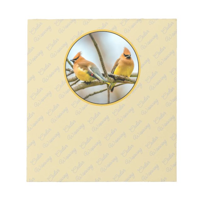 Cedar Waxwing - Original Foto Notizblock (Vorderseite)