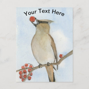 Cedar Waxwing Postkarte