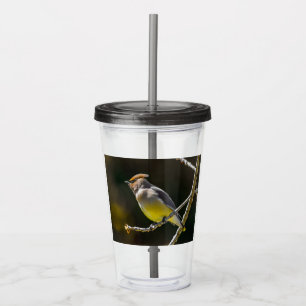 Cedar Waxwing Songbird Original Wild Bird Foto Acryltrinkbecher