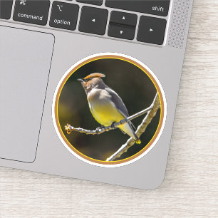 Cedar Waxwing Songbird Original Wild Bird Foto Aufkleber