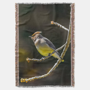 Cedar Waxwing Songbird Original Wild Bird Foto Decke