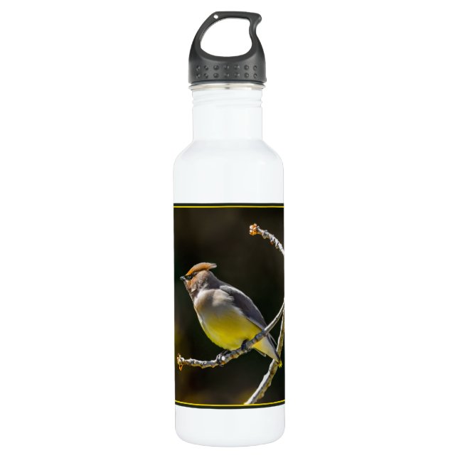 Cedar Waxwing Songbird Original Wild Bird Foto Edelstahlflasche (Vorderseite)