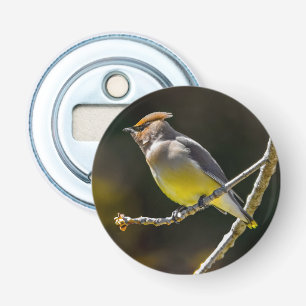 Cedar Waxwing Songbird Original Wild Bird Foto Flaschenöffner