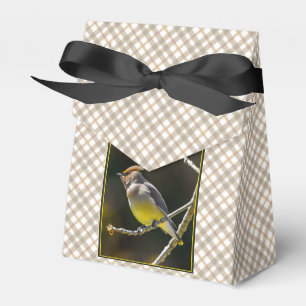 Cedar Waxwing Songbird Original Wild Bird Foto Geschenkschachtel