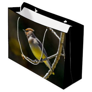 Cedar Waxwing Songbird Original Wild Bird Foto Große Geschenktüte