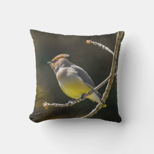 Cedar Waxwing Songbird Original Wild Bird Foto Kissen