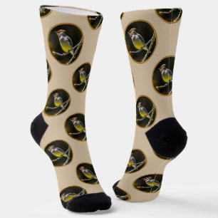 Cedar Waxwing Songbird Original Wild Bird Foto Socken