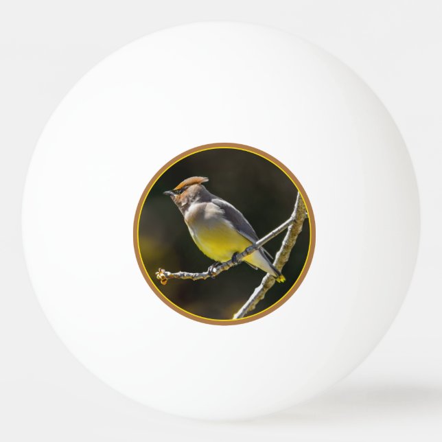 Cedar Waxwing Songbird Original Wild Bird Foto Tischtennisball (Vorderseite)