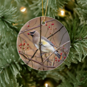 Cedar Waxwing   Weihnachtsschmuck