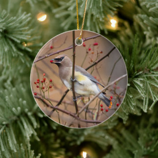 Cedar Waxwing | Weihnachtsschmuck