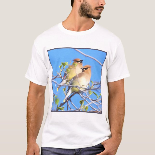Cedar Waxwings T-Shirt (Vorderseite)