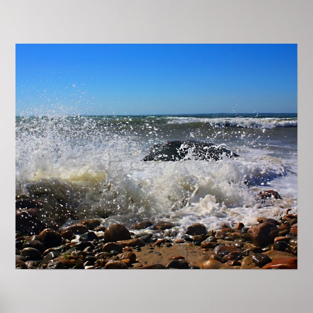 CedarTreeNeck16x20 Poster (Vorne)