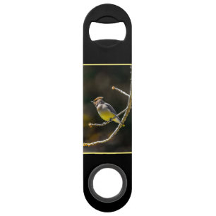 Cèdre cire Songbird Photo originale Oiseau sauvage