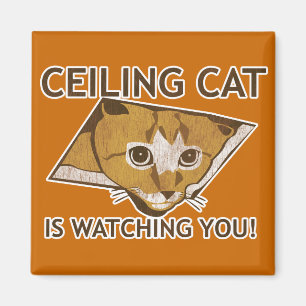 Ceiling Cat beobachtet dich! Magnet