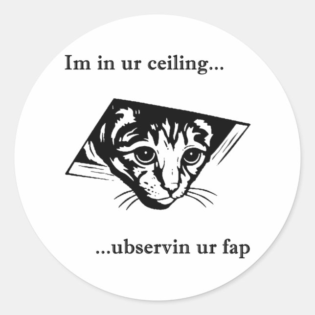 Ceiling Cat ubservin u... Runder Aufkleber (Vorderseite)