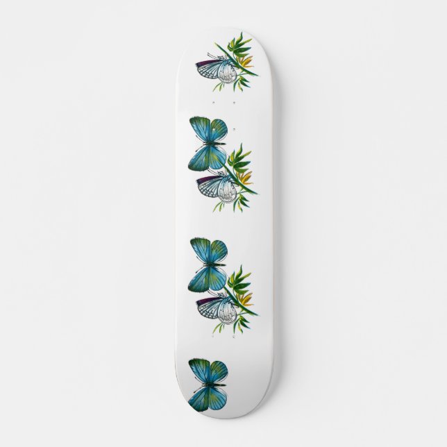 Celastrina argiolus (Männchen) Skateboard (Vorne)