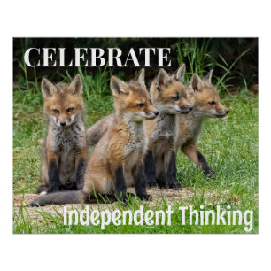 Celebrate Independent Thinking Foxes Poster