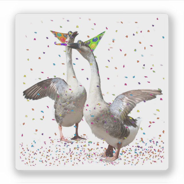 Celebrating Geese Aufkleber (Vorderseite)