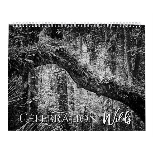 Celebration Wilds Kalender (Titelbild)