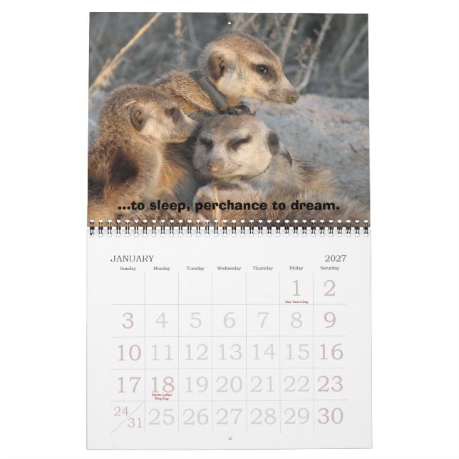 Célébrer Zaphod - Calendrier (Jan 2027)