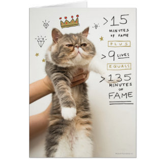 Célébrité de chat Internet