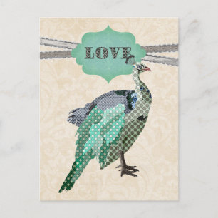 Celeste Peacock LovePostcard Postkarte