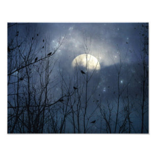 Celestial Blue Crystal Crows Fotodruck
