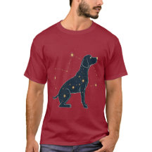 Celestial Companion: Starry Silhouette