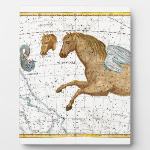 Celestial Map Pegasus Fotoplatte