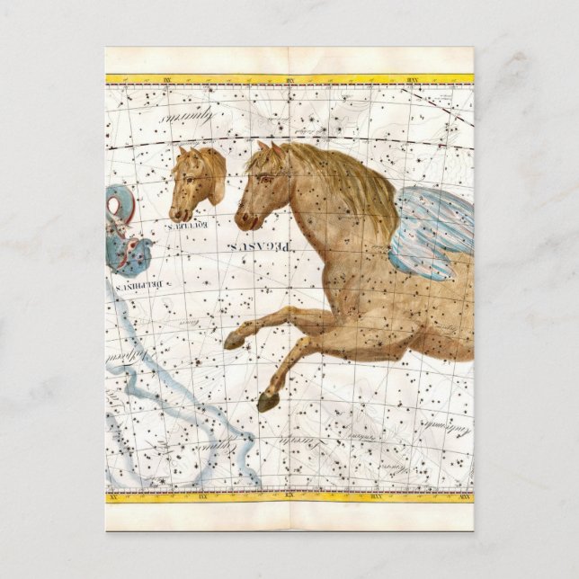 Celestial Map Pegasus Postkarte (Vorderseite)