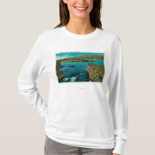 Celilo fällt auf den Columbia River T-Shirt