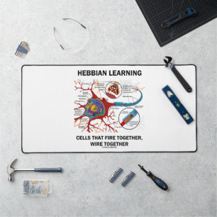 Cellules d'apprentissage hebbien : Tirer ensemble,