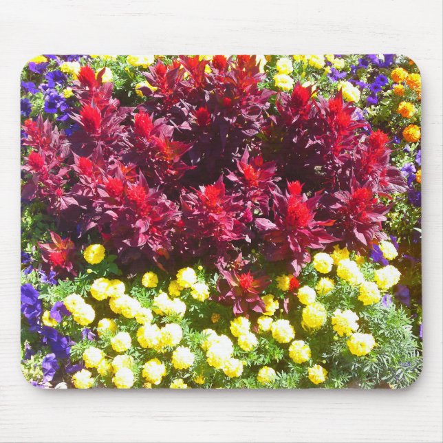 Celosia Marigold Petunia Blume Patch Mousepad (Vorne)