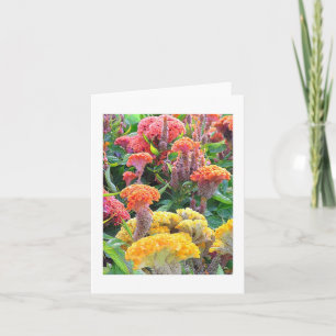 "CELOSIE JAUNE, SAUMON ET ORANGE" CARTE POUR NOTES