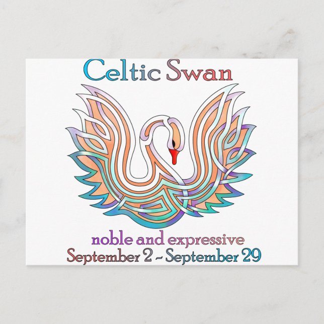 Celtic Swan Postkarte (Vorderseite)