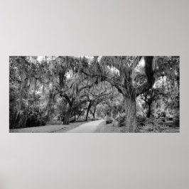 Cemtery, Savannah Ga, MD Fotografie Poster