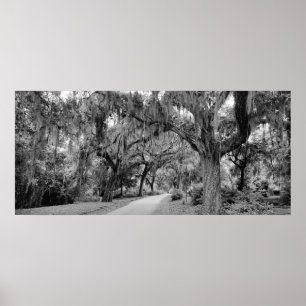 Cemtery, Savannah Ga, MD Fotografie Poster